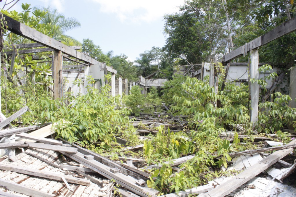 fordlandia hospital